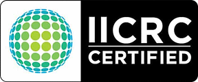 Green and blue IICRC certified badge