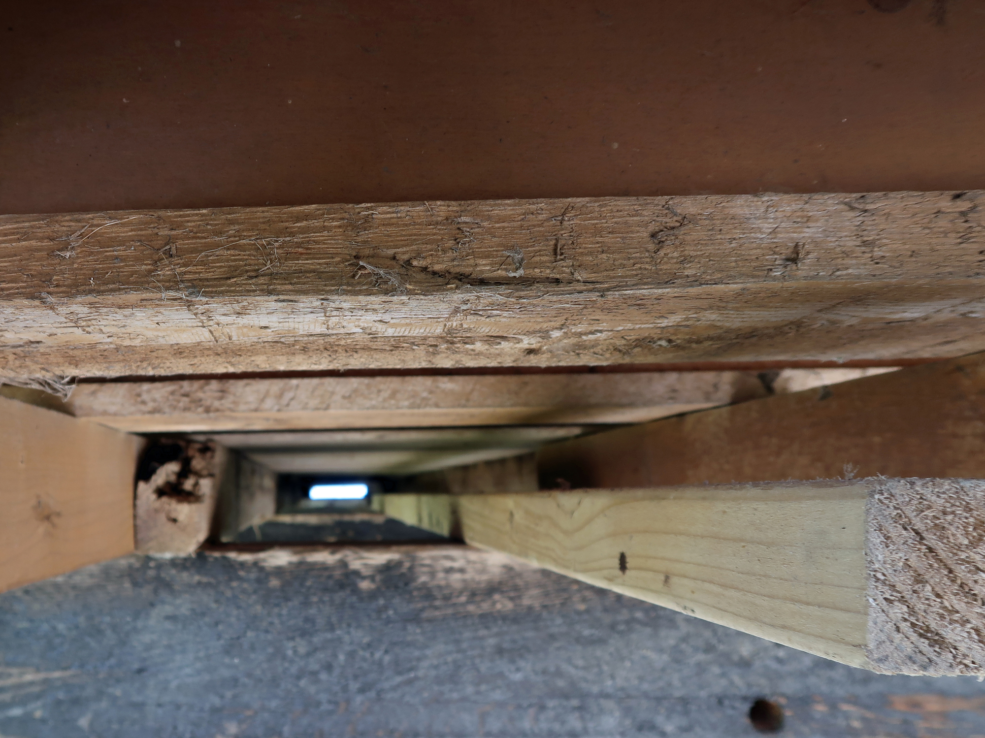 Wooden beams forming a tunnel effect