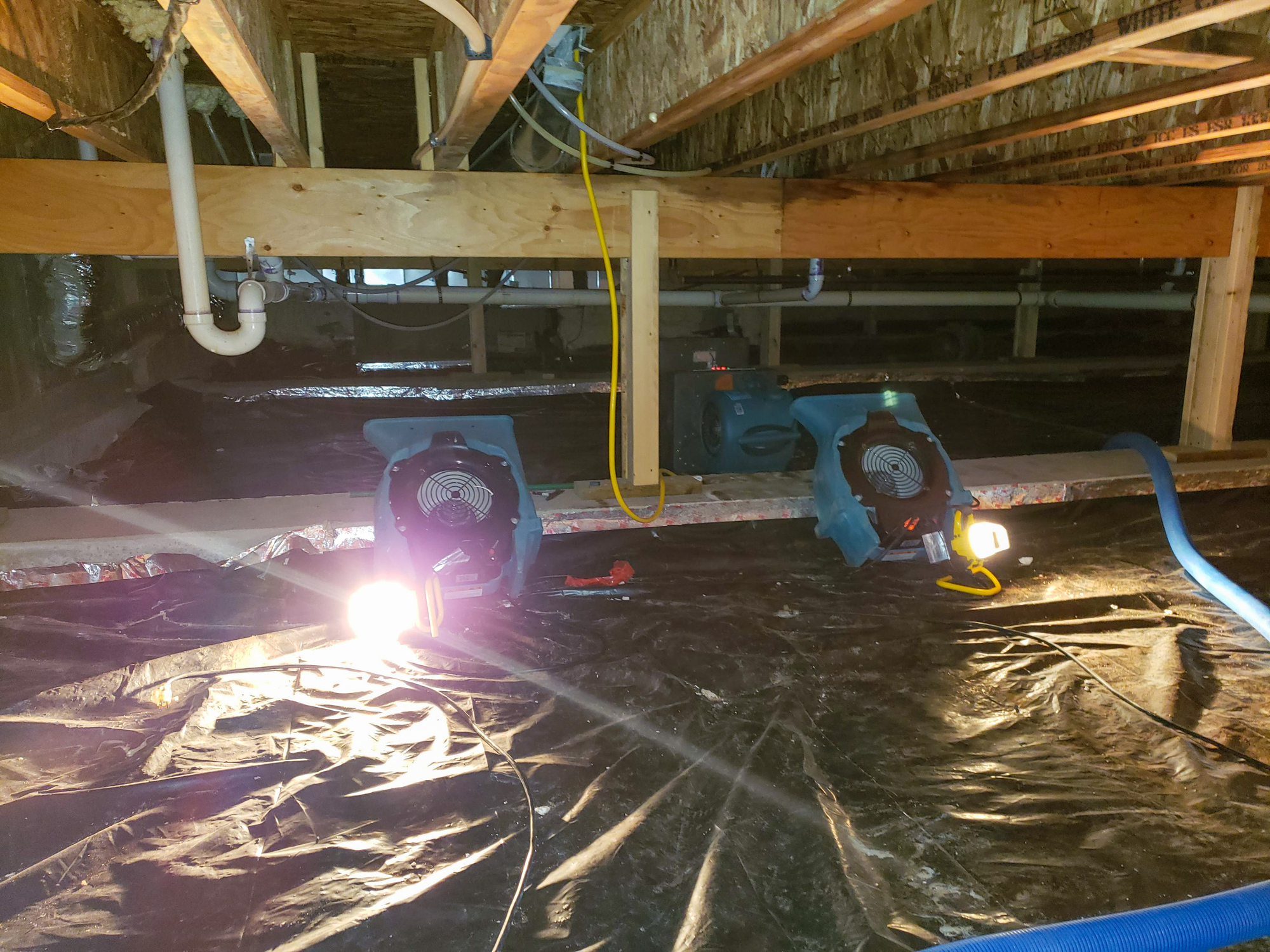 Basement with fans and lights