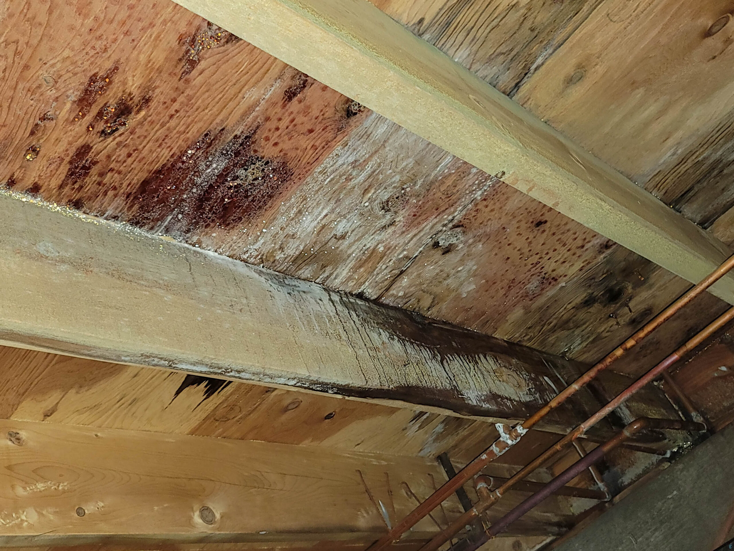 Ceiling with wood rot stains