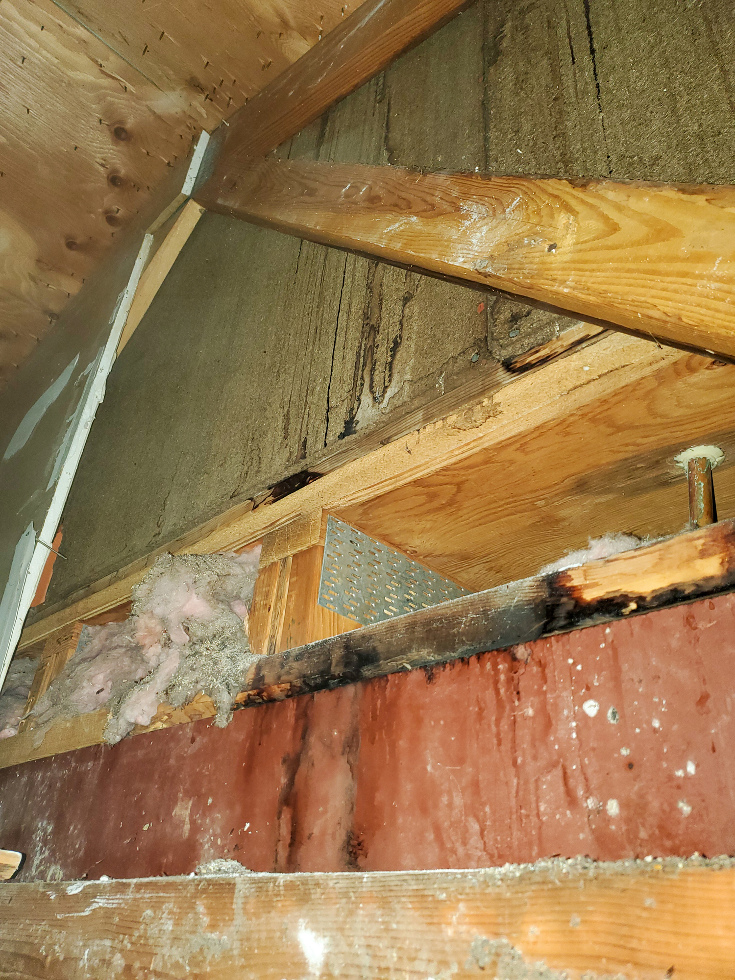 Exposed wooden beams and insulation