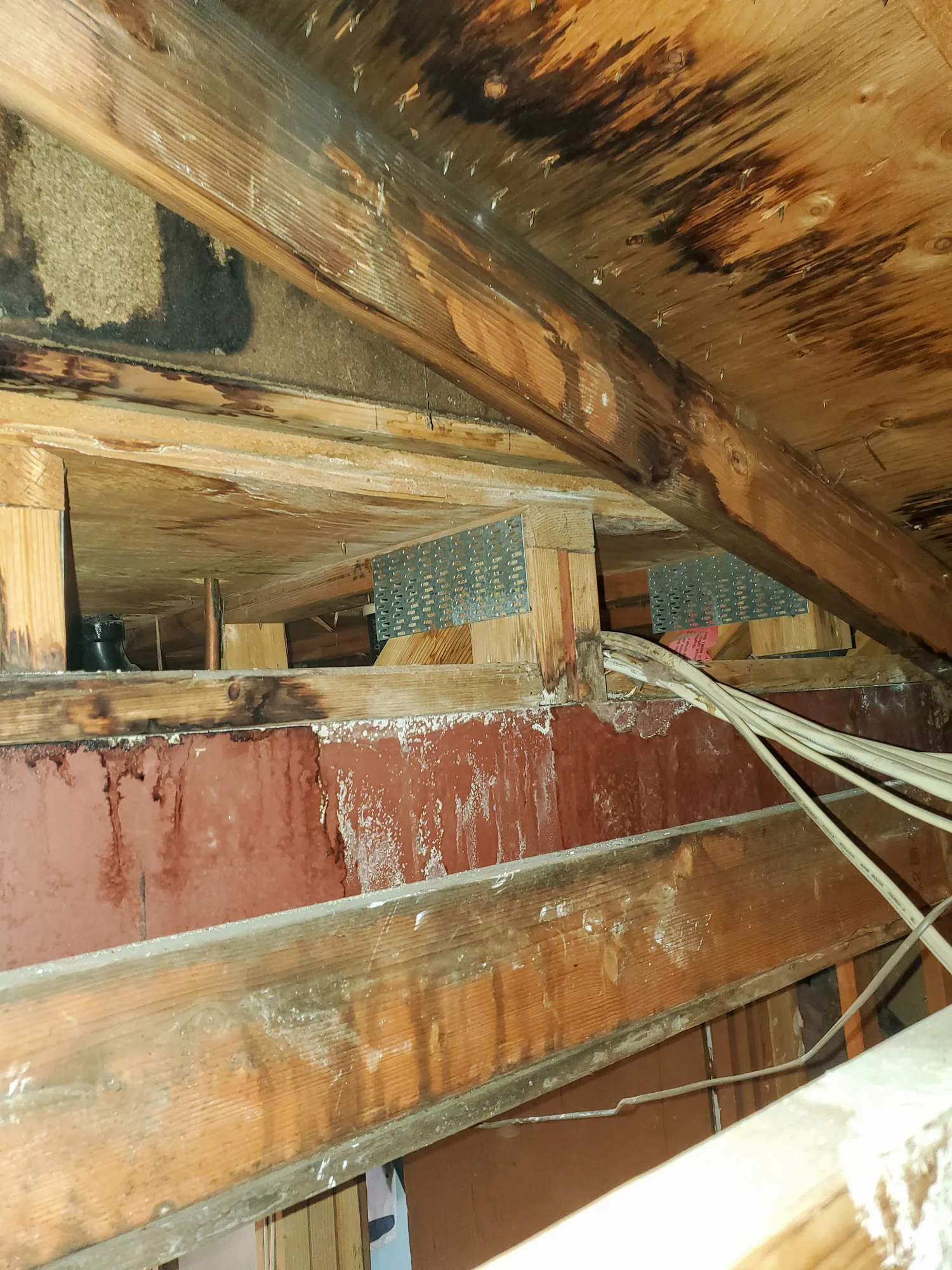 Electrical wires in unfinished attic