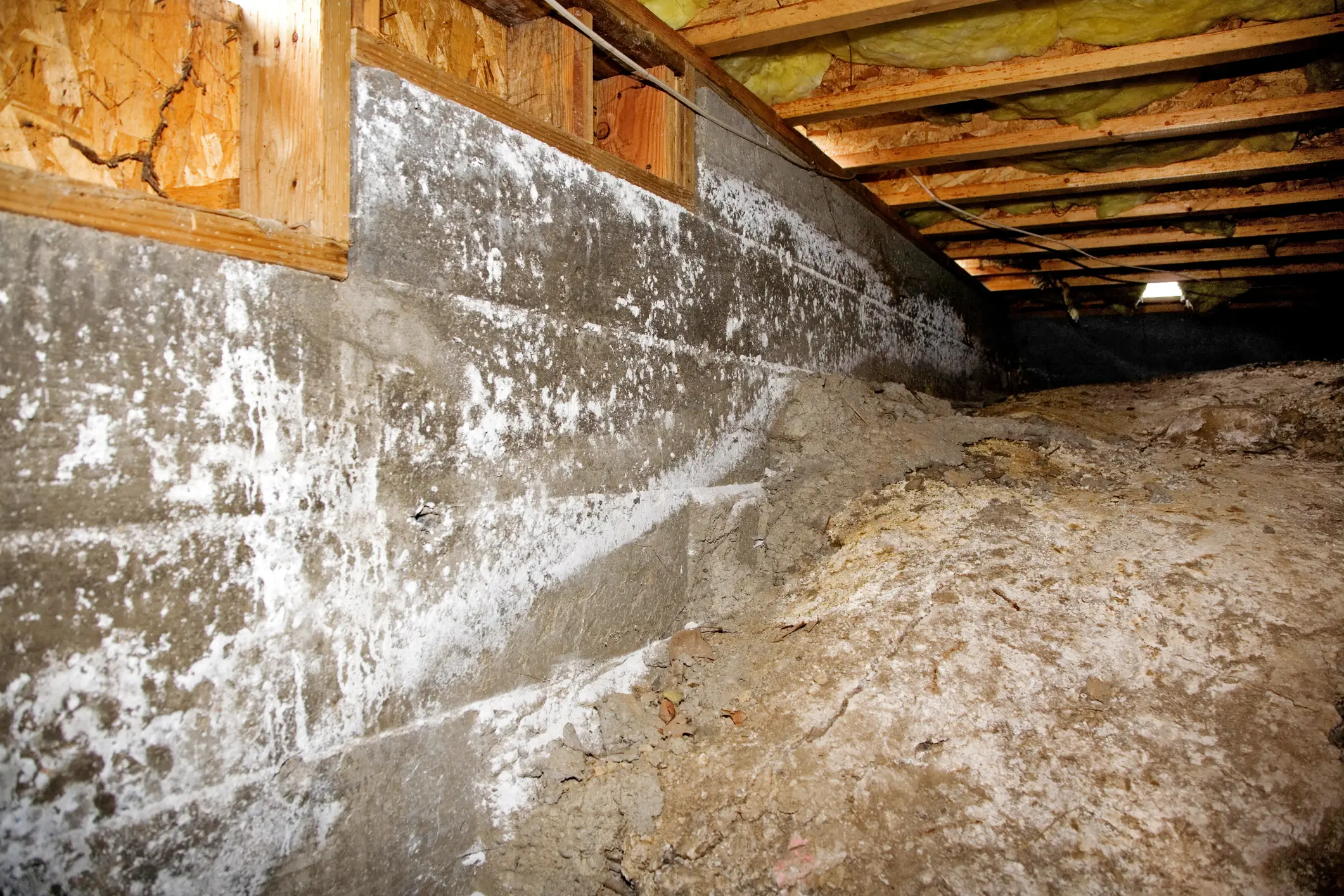 Crawl space with exposed insulation