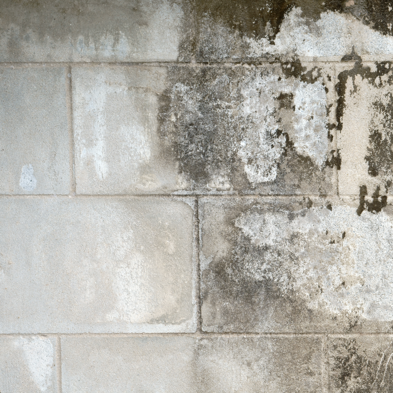 Aged concrete wall with peeling paint