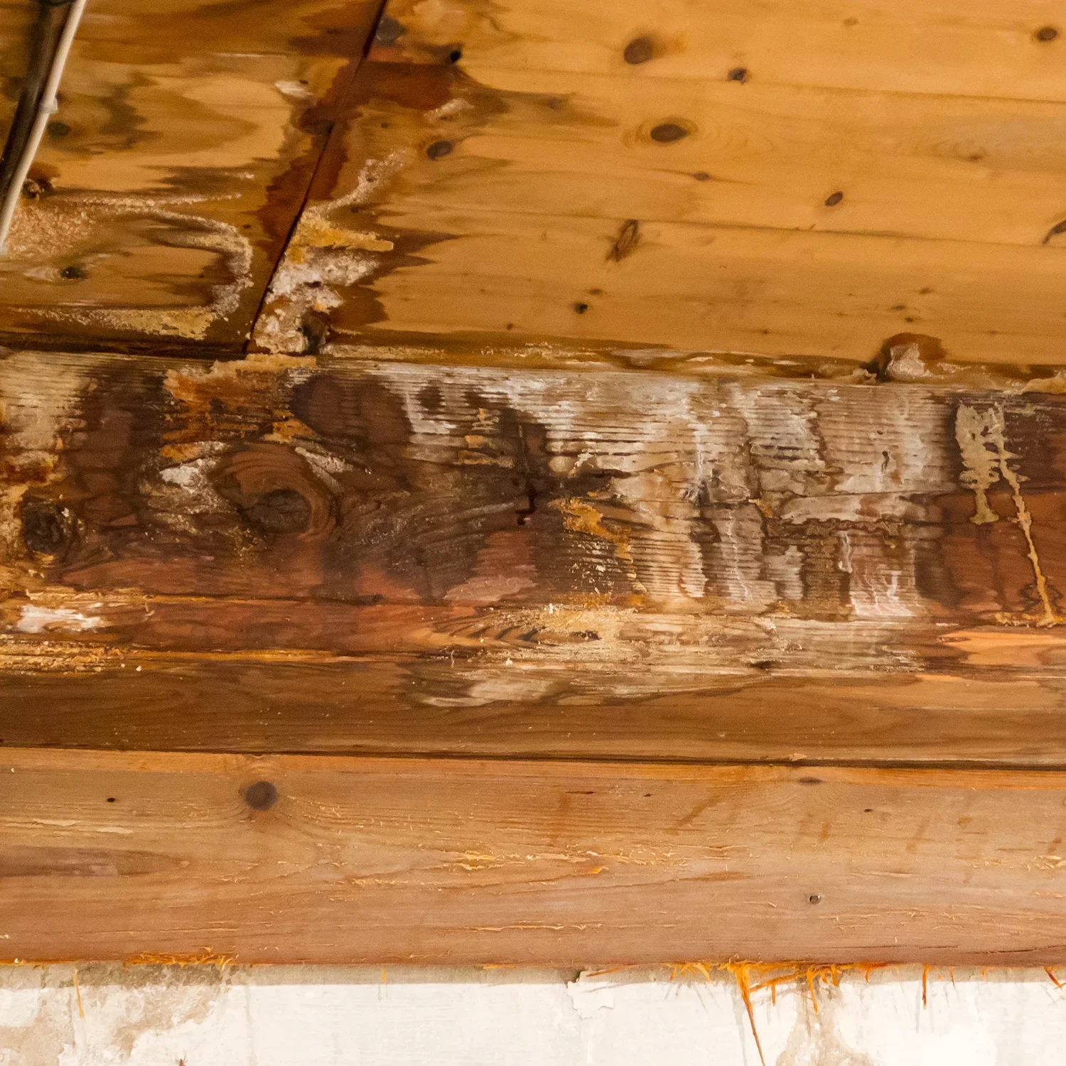 Wooden ceiling with visible water damage.